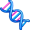 dna5