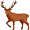 deer5