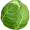 cabbage5