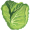 lettuce5