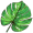 leaf5