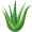 aloe5