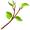 twig5