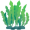 algae5