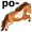 po-ny5