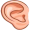 ear5