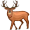 elk5