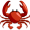 crab5