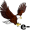 e-agle5