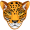 leopard5