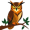 owl5