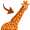 neck5