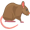 rat5