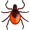 mite5