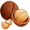 macadamia5
