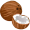 coconut5
