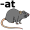 r-at5