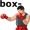 box-er5