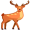 deer5