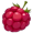 raspberry5