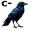crow5