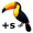 toucans5