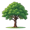tree5
