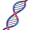 dna5