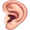 ear5