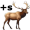 elk5