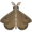 moth5