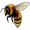 bee5