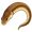 eel5