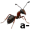 ant5