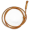 lasso5