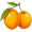 oranges5