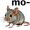 mouse5