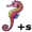 seahorses5
