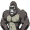 gorilla5