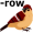 sparrow5