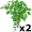 ivies5