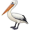 pelican5