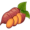 yam5