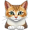 cat5