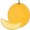 melon5