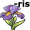 iris5
