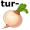 turnip5