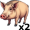 hogs5