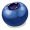 blueberry5
