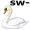 swan5